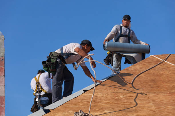 Best Residential Roof Replacement  in Masonville, KY