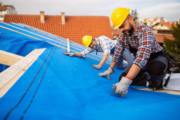 Best New Roof Installation  in Masonville, KY
